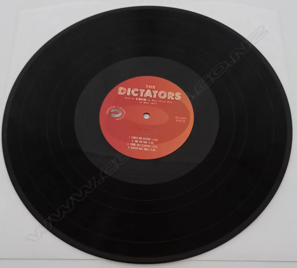 The Dictators, Live At CBGB In New York City 11 May 1977 Image 1++